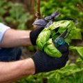 Winterliche Gartenplanung: Wie man das kommende Gartenjahr strategisch vorbereitet
