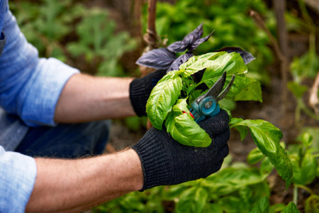 Winterliche Gartenplanung: Wie man das kommende Gartenjahr strategisch vorbereitet