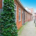 Schrebergärten als soziale Treffpunkte: Gemeinschaft und Zusammenhalt in der modernen Stadt