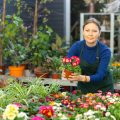 Grüne Oasen für die Stadt: Die Bedeutung botanischer Gärten für die Lebensqualität in Deutschland