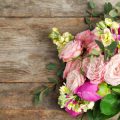 Blumenzwiebeln und Stauden im Frühling pflanzen: Tipps und Tricks für langanhaltende Blütenpracht