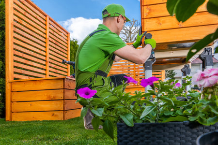Kräutergarten auf dem Balkon: Ausgewählte Sorten und praktische Anbauideen