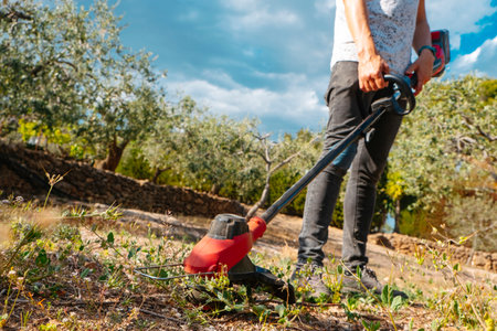 Sommerlicher Pflanzenschutz: Natürliche und biologische Maßnahmen gegen Schädlinge und Krankheiten