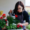 Der richtige Umgang mit Frühlingsfrösten: Schutzmaßnahmen für junge Pflanzen