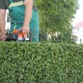 Permakultur und urbane Gärten: Nachhaltige Oasen in deutschen Städten
