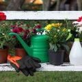 Die Geschichte der deutschen Schrebergartenbewegung: Von den Anfängen bis heute