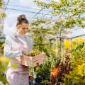 Mulchen im deutschen Garten: Traditionen, Materialien und Techniken