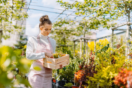 Mulchen im deutschen Garten: Traditionen, Materialien und Techniken