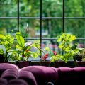 Kreative Bastelideen: Insektenhotels und Nistplätze mit Alltagsmaterialien gestalten