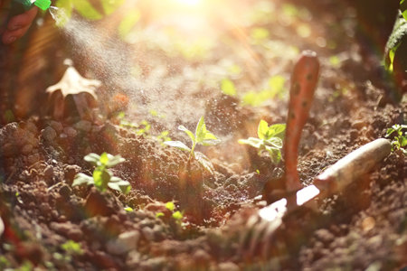 Biodiversität spielerisch entdecken: Artenvielfalt im pädagogischen Gartenprojekt vermitteln