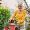 Schattenstauden: Die besten Pflanzen und deren Ansprüche im mitteleuropäischen Gartenklima