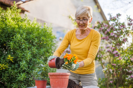 Schattenstauden: Die besten Pflanzen und deren Ansprüche im mitteleuropäischen Gartenklima