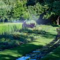 Welches Hochbeet passt zu meinem Garten? Auswahl nach Größe, Stil und Standort