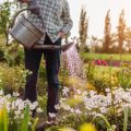Grundlagen der Gartenplanung: Wichtige Überlegungen und erste Schritte für einen gelungenen Garten