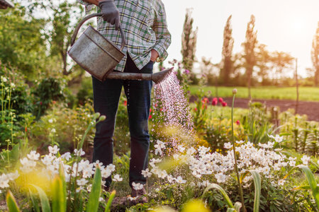 Grundlagen der Gartenplanung: Wichtige Überlegungen und erste Schritte für einen gelungenen Garten
