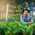 Beliebte exotische Zierpflanzen für den deutschen Garten – Auswahl, Pflege und Gestaltungsideen