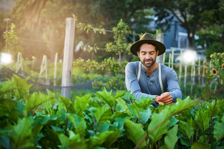 Beliebte exotische Zierpflanzen für den deutschen Garten – Auswahl, Pflege und Gestaltungsideen
