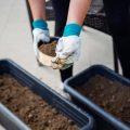 Die Bedeutung von Gartenfesten in der deutschen Gartenkultur: Geschichte und Gegenwart