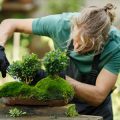 Urban Gardening im Mietrecht: Rechte, Pflichten und Nachbarschaftspflege