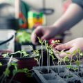Grundlagen der Gartenbeleuchtung: Von der Planung bis zur Umsetzung