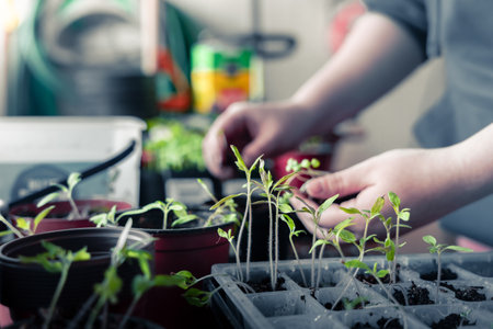 Grundlagen der Gartenbeleuchtung: Von der Planung bis zur Umsetzung