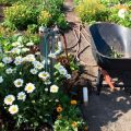 Der Einfluss des Schrebergartens auf die deutsche Gartenkultur
