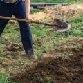 Die Bedeutung von Heil- und Kräutergärten in der deutschen Garten-Tradition