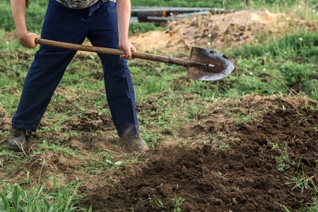 Die Bedeutung von Heil- und Kräutergärten in der deutschen Garten-Tradition