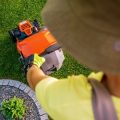 Frühjahrssaat im Gemüsegarten: Optimaler Zeitpunkt und geeignete Arten
