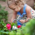 Kreative Gartenspiele für Kinder: Spielideen, die den Garten zum Abenteuerspielplatz machen