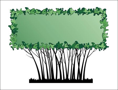 Natursteinwege vs. Pflasterwege: Vor- und Nachteile im deutschen Garten