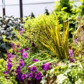 Die besten DIY-Projekte für nachhaltige Gartengestaltung