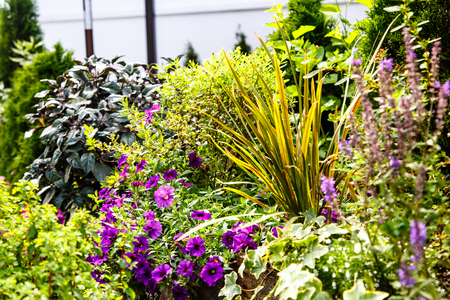 Die besten DIY-Projekte für nachhaltige Gartengestaltung