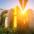 Die Bedeutung gemeinsamer Gartenarbeit für die kindliche Entwicklung in Deutschland