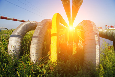 Die Bedeutung gemeinsamer Gartenarbeit für die kindliche Entwicklung in Deutschland