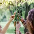 Obstbäume im Herbst richtig schneiden: Methoden, Tipps und häufige Fehler