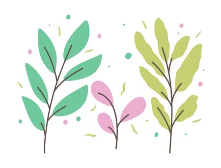 Saisonale Zutaten: Frisch aus dem eigenen Garten