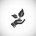Smart Gardening: Die Integration moderner Sensoren und Steuerungen im Gewächshausbetrieb