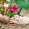 Garten als Klassenzimmer: Lernprojekte zu Umwelt, Nachhaltigkeit und Biodiversität