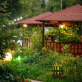 Akzentbeleuchtung im Garten: Pflanzen und Kunstobjekte ins Licht setzen
