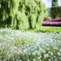 Wasserdurchlässige Beläge für Wege und Terrassen – Ökologische Gestaltung im Garten