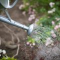 Mäht im Regen oder nicht? Wetterresistenz und Allwetterfähigkeit von Rasenrobotern