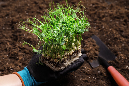 Pflanzenbedarf und Bodenbeschaffenheit: Optimale Wassermengen für verschiedene Gartenbereiche