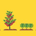 Erfahrung aus der Praxis: Erfolgreiche Bienenweiden-Projekte in deutschen Regionen