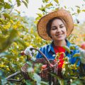 Praktische Checkliste für Besucher: So wird der Gartenbesuch zum Erlebnis