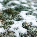 Winterliche Wegegestaltung: Materialien, Aufbau und Pflege für rutschfeste Gartenwege
