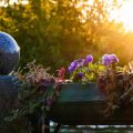 Nachhaltigkeit und Klimaschutz in deutschen botanischen Gärten