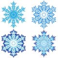 Winterharte Kräuter für den Anbau in Deutschland: Sorten und Überwinterungstipps