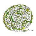 Kräuterspirale selber bauen: Schritt-für-Schritt-Anleitung für den eigenen Garten