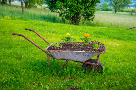 Upcycling im Garten: Kreative Wiederverwertung für mehr Umweltfreundlichkeit